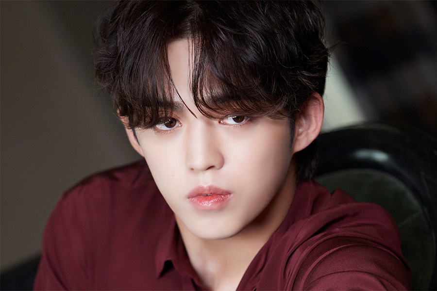PLEDIS 分享了 SEVENTEEN S.Coups 膝盖受伤的最新消息