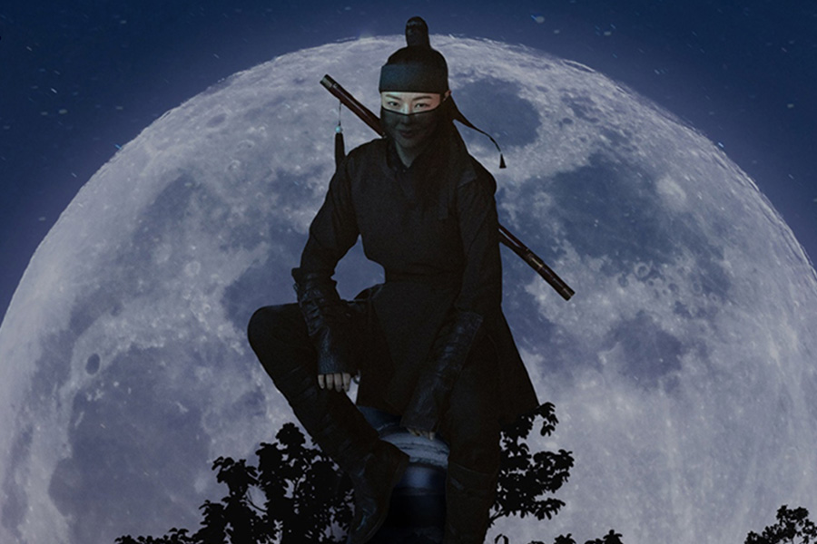 历史剧海报李蜜是正义感极强的寡妇