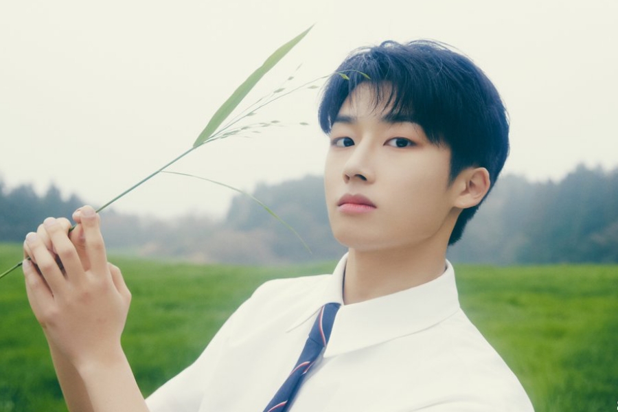 The Wind 申在元离开组合