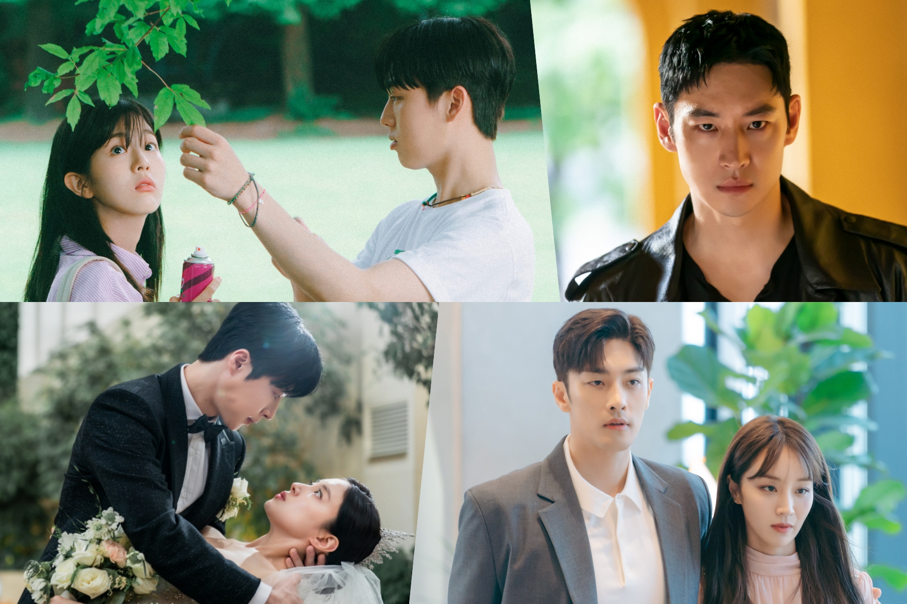 Soompi & Viki 员工讲座：2023 年您最喜欢的韩剧是什么？