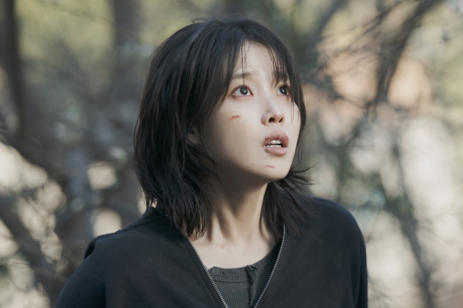IU的《Love Wins All》成为2024年第一首完美全杀的歌曲