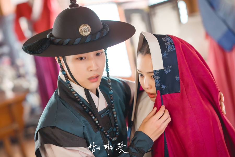 《骑士花》收视率创历史新高