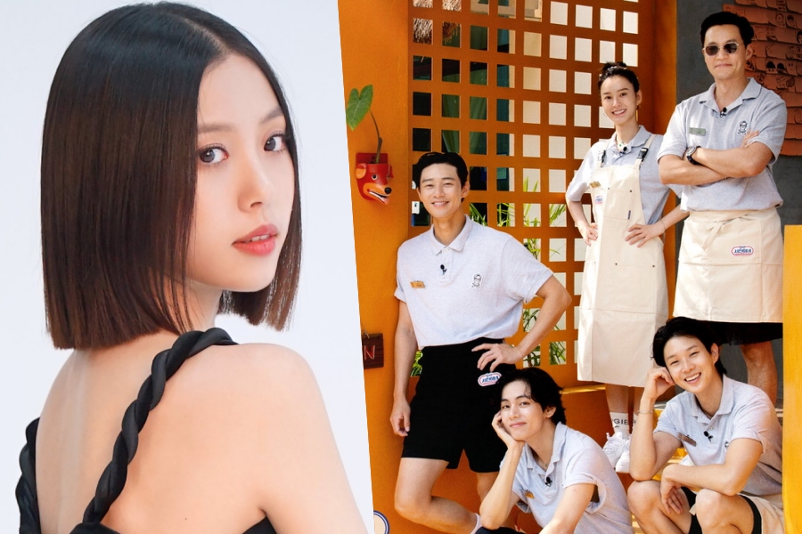 高珉诗报道加入《珍妮厨房2》演员+tvN简评