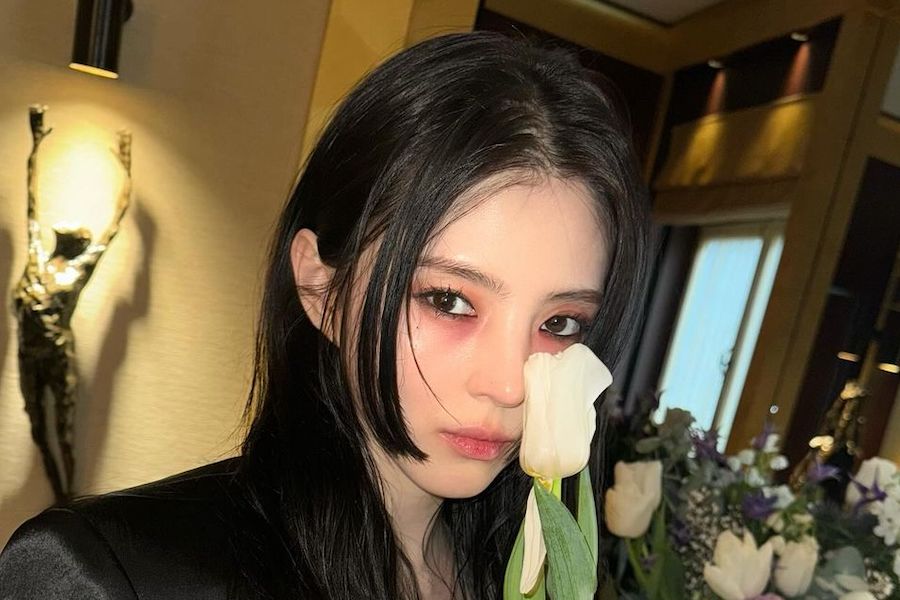 韩素希的经纪公司澄清最近在巴黎举办的品牌派对上的情况