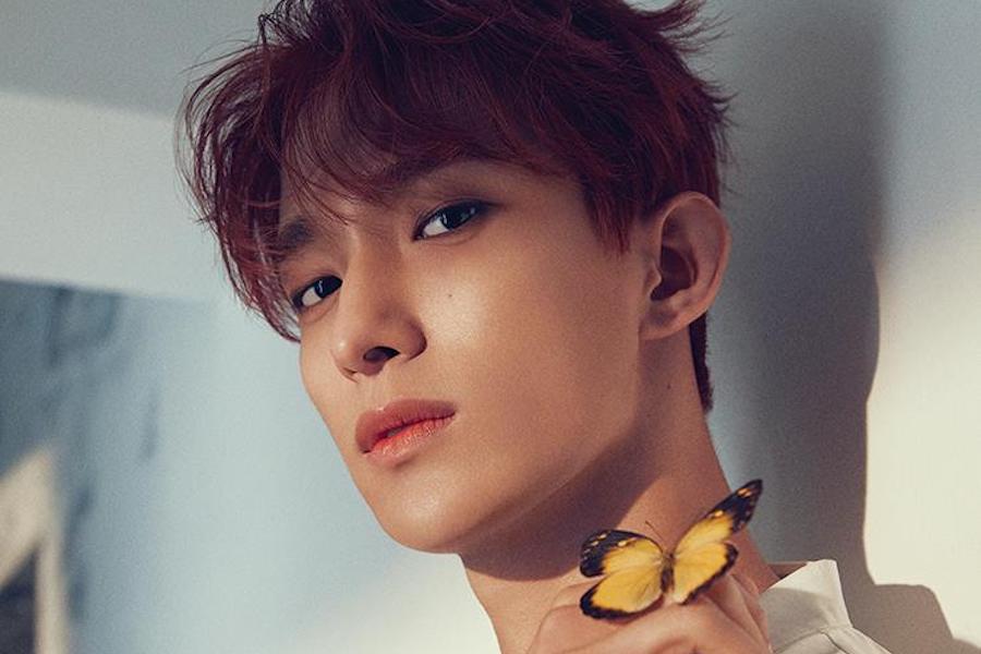 SEVENTEEN 的 DK 盘点 BSS 的回归，是什么赋予了他力量等等